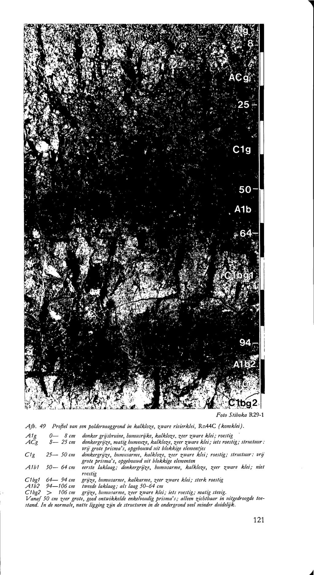Ajb. 49 Ag ACg Cg Ab Cbg Ab Foto Stiboka R9- Profiel van een poldervaaggrond in kalklozf, zjvare rivierklei, Rn44C (komklei).