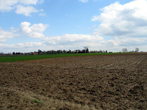 De Slag van Steps vond op 13 oktober 1213 bij Montenaken in de Belgische provincie Limburg plaats.