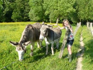 natuurgebied ± ½ in cultuurlandschappen