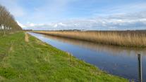 In die gevallen kan een landschappelijke afscheiding een oplossing bieden.