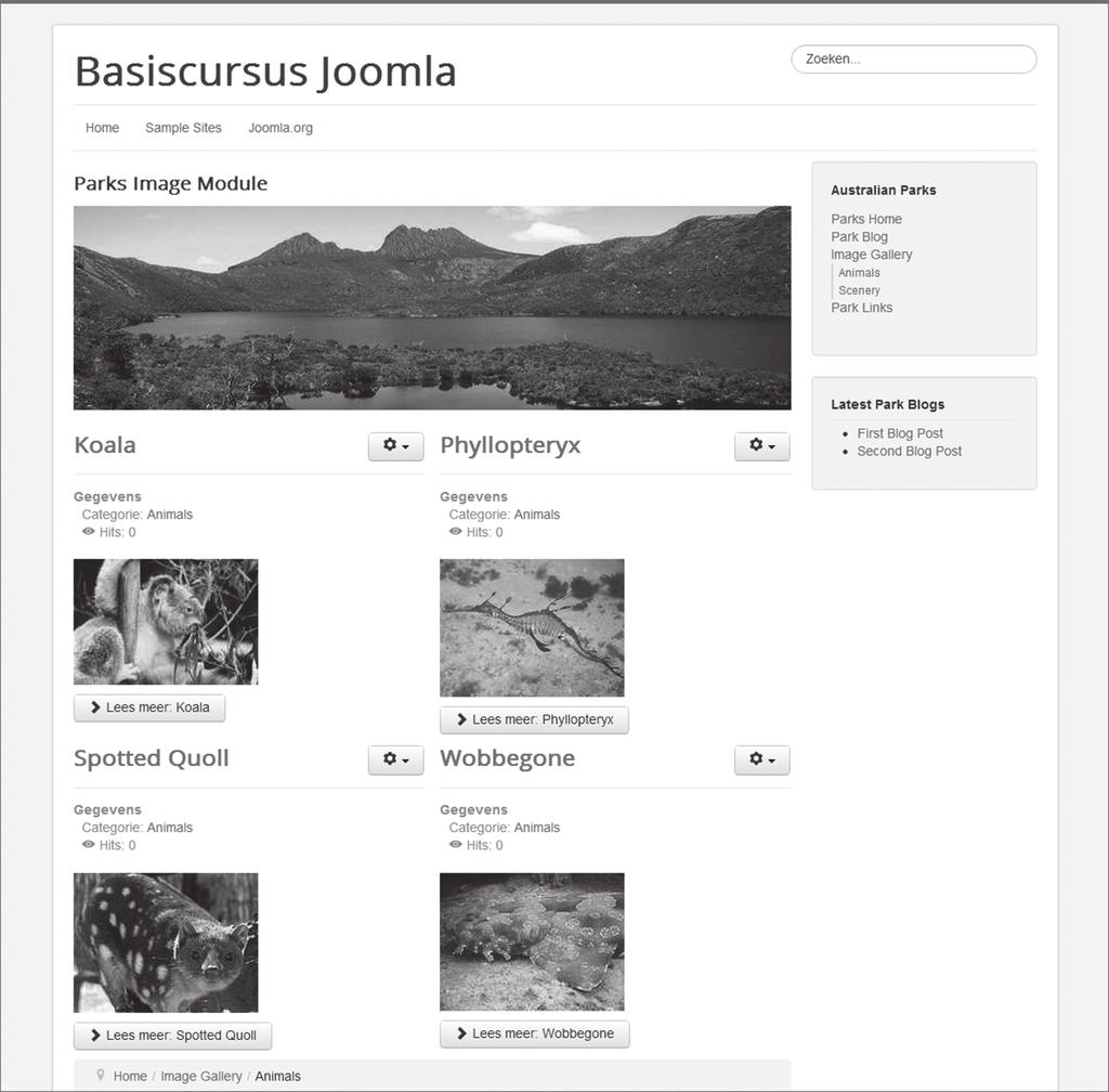 26 Basiscursus Joomla! 3 2. Neem even de tijd om deze uitgebreide voorbeeldsite te verkennen.