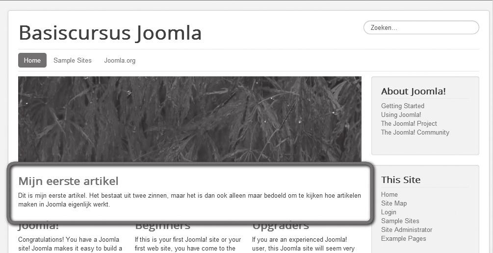 30 Basiscursus Joomla! 3 7 Klik op Bekijk website (of op de naam van de site rechtsbovenaan in de beheeromgeving). Je ziet nu de homepage van de site. Bovenaan staat je artikel! Figuur 3.