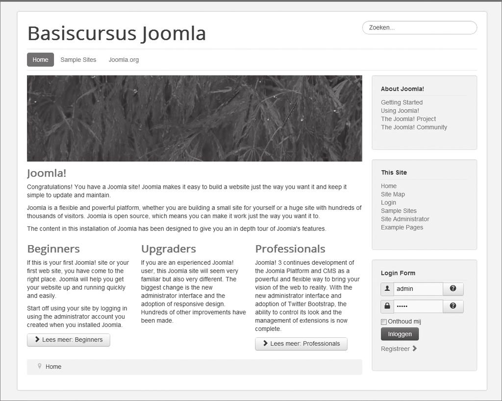 72 Basiscursus Joomla! 3 Figuur 6.1: De standaardhomepage in de Joomla-voorbeeldsite Buiten de mainbody staat er nog meer op de homepage: het logo, menu s, een inlogblokje en dergelijke.