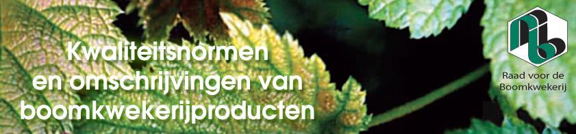 Raad voor de Boomkwekerij De Nederlandse boomkwekerijsector beschikt over een overkoepelend overlegorgaan: de Raad voor de Boomkwekerij.
