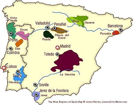 WIJN- REGIO S SPANJE Spanje heeft de meeste hectaren wijngaarden van de grote drie maar produceert vanwege de enorme droogte