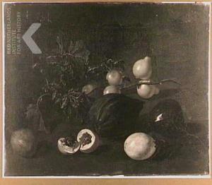 873-1-132 Dirk Valkenburg Studie van Surinaams fruit