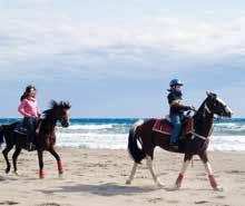 los. Met ons paard trekken we erop uit voor