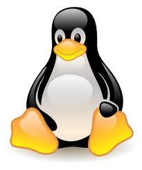 Operating systemen Naast Microsoft Windows kunnen PCs ook draaien onder Linux, een operating systeem (OS) uit de UNIX-wereld (vergelijk Android).