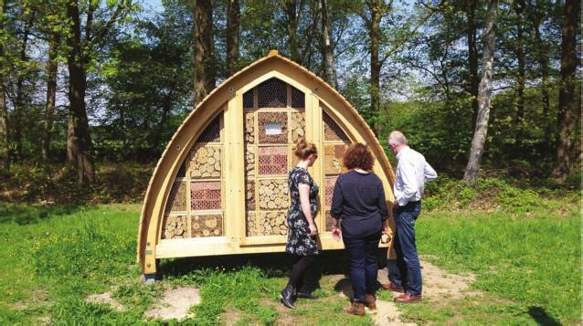 In de Bee Deal Buulder Aa zijn er het afgelopen jaar weer tal van maatregelen genomen met als neusje van de zalm een nieuw insectenhotel gemaakt van lokaal hout door de vrijwilligers van de