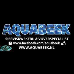 Vissen in zakjes: Aquabeek legt uit! Een aantal jaren geleden gaf Rien van Beek van Aquabeek in ons programmaboekje uitleg over waarom zij hun vissen in zakjes aanbieden.