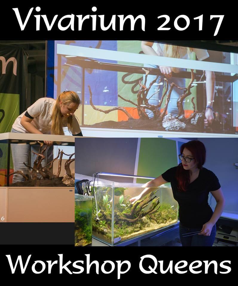Vivarium 2017