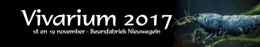 En eerlijk is eerlijk, bij een negende editie denken we soms wel eens dat het toch wel goed komt. Want de vorige acht keer gingen toch ook goed?