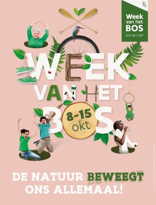 De leerlingen van 1 ste en 3 de leerjaar gaan samen naar Bulskampveld.