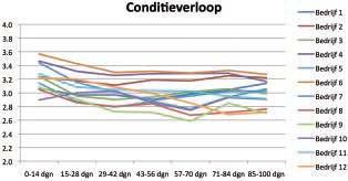 Figuur 3 Gemiddeld conditieverloop van verse koeien op 12 PEB bedrijven Gemiddelde verandering Spreiding van alle koeien rond gemiddelde Bedrijf 1 0,6 0,4 Bedrijf 2 0,5 0,3 Bedrijf 3 0,3 0,4 Bedrijf