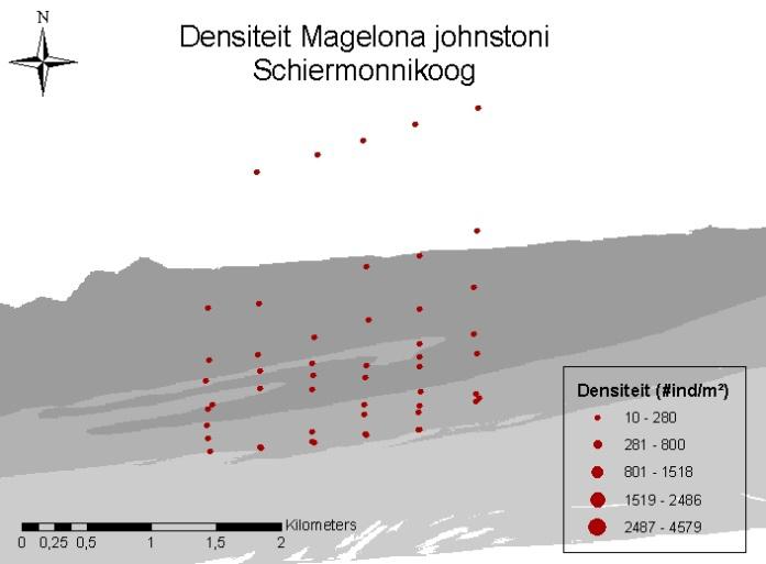 Bijlage VIII: Verspreidingskaarten subtidale macrobenthossoorten (aantal individuen/m²) Densiteitendistributie van