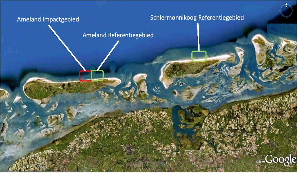2010014 Veldcampagne ecologie Ameland 2010 1.2 Veldcampgane ecologie 2010 In 2010 en 2011 vonden bij Ameland grootschalige suppleties plaats, zowel op het strand als op de vooroever.