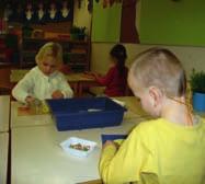 INHOUD 4 NIEUWS 6 REPORTAGE Binnen de vakgroep Audiologie van Siméa bestaat de zorg dat de groep slechthorende leerlingen in gemengde SH/ESM scholen in een onderbelichte positie dreigt te komen.