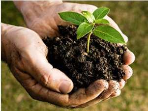 tuiniers om het project te coördineren, vergaderingen op te volgen, permanentie voor de moestuin te organiseren, voor de communicatie, de