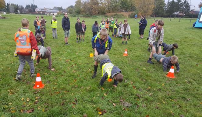 NESTENVERDELING BIJ DE WELPEN Op zaterdag 11 november werden onze welpen onderverdeeld in hun nesten voor dit scoutsjaar.