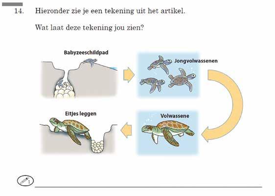 104 HET VLAAMS LAGER ONDERWIJS IN PIRLS 2016 VRAAG 7: GEVORDERD NIVEAU PROCES: TEKSTINTERPRETATIE VLAAMS CORRECT: (1) 17, (2) 18,8 INTERNATIONAAL CORRECT: (1) 19,1, (2) 24,8 CORRECT ANTWOORD: (1) DE