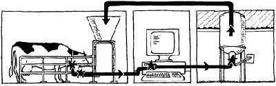 Als de computer weet wat de koe nodig heeft, wordt het hele mechanisme in werking gesteld om de koe de juiste portie voer te verstrekken.