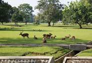 De Kebun Raya Bogor is de oudste en nog steeds vooraanstaande botanische tuin van Indonesië, met een oppervlakte van 87 hectare.