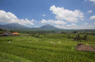 Deze rondreis combineert het fascinerende Bali met het tropische eiland Lombok.