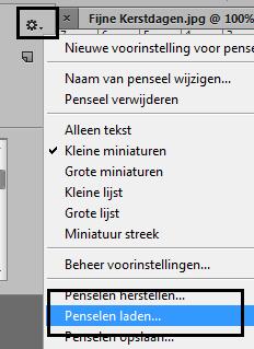 Ga in Photoshop naar Penseel.