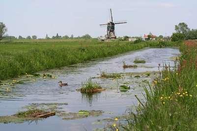 - Minimaal 4 verschillende indicatorsoorten uit lijst bi zijn in transect ii met een breedte van 50 cm aanwezig in de periode van 15 mei tot 15 juni per 100 meter.