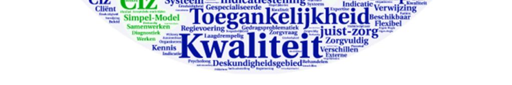 Zie hieronder in figuur 3 de Word Cloud voor het perspectief van de patiënt.