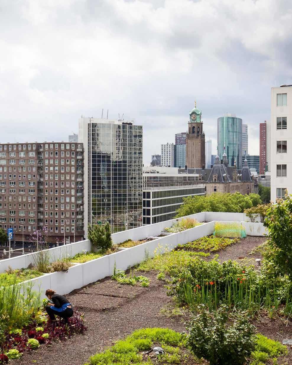 Keer op keer ben ik getroffen door de vele mooie natuurgebieden, de schoonheid van het boerenland of een groene oase in de stad.