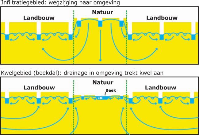 grondwaterstanden zich niet meer herstellen en is er geen extra water vastgehouden voor de zomer3.