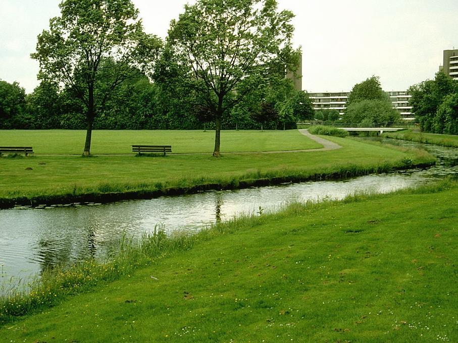 In dit park (Veenendaal) kwamen tot begin jaren 90 geen wilde bijen