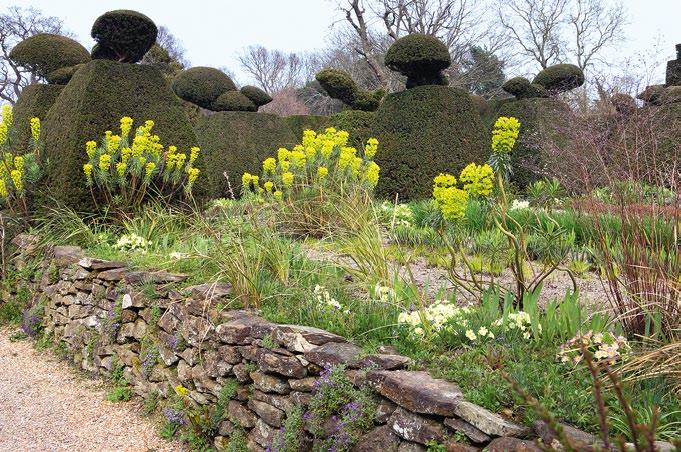 Fergus Garrett, de head gardener van de bekende Engelse tuin Great Dixter, is er een meester in.