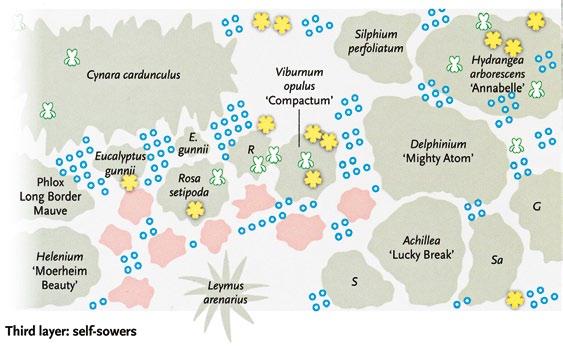 laag 4: perkplanten voorjaar/vroege zomer laag