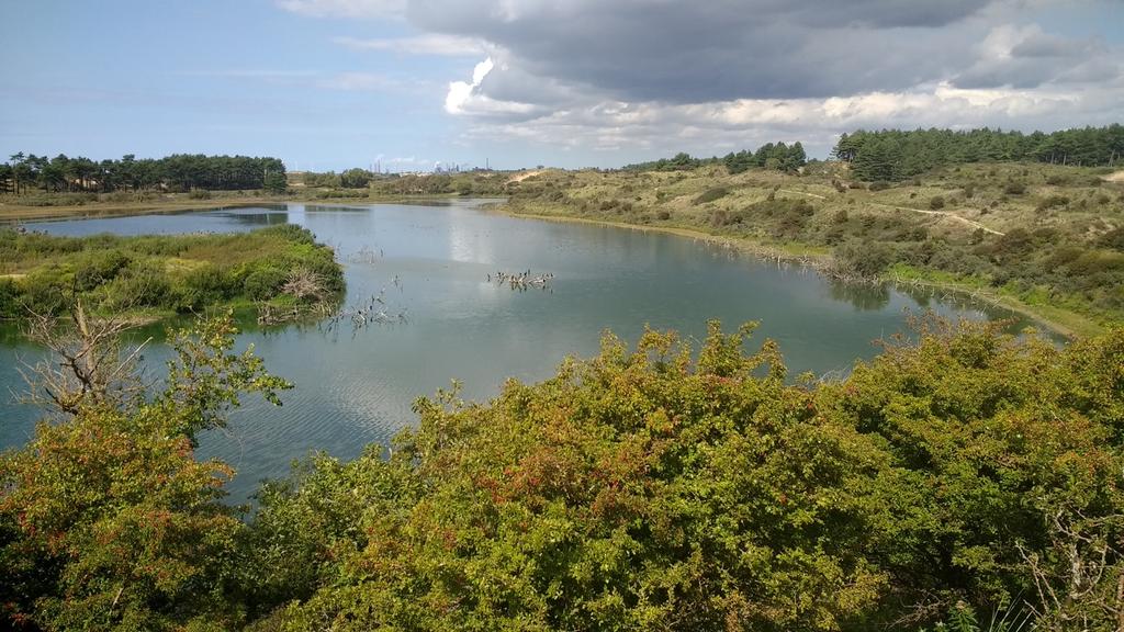 3. Vogelmeer Het Vogelmeer is net als alle andere meren in het nationaal park Zuid-Kennemerland een gegraven meer.