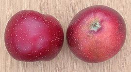 De appel heeft een donkerrode kleur, een rode ster bij het klokhuis en roze vruchtvlees De smaak is lichtzuur en matig tot goed.