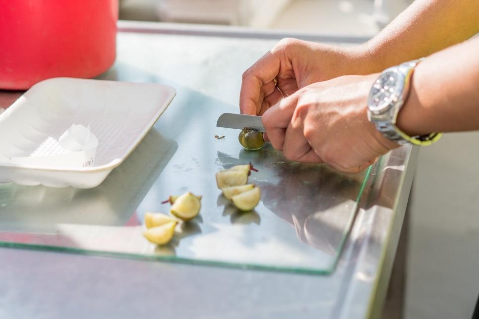 Nieuwe veredelingsmethoden Hoe kunnen we met minder water meer voedsel produceren?