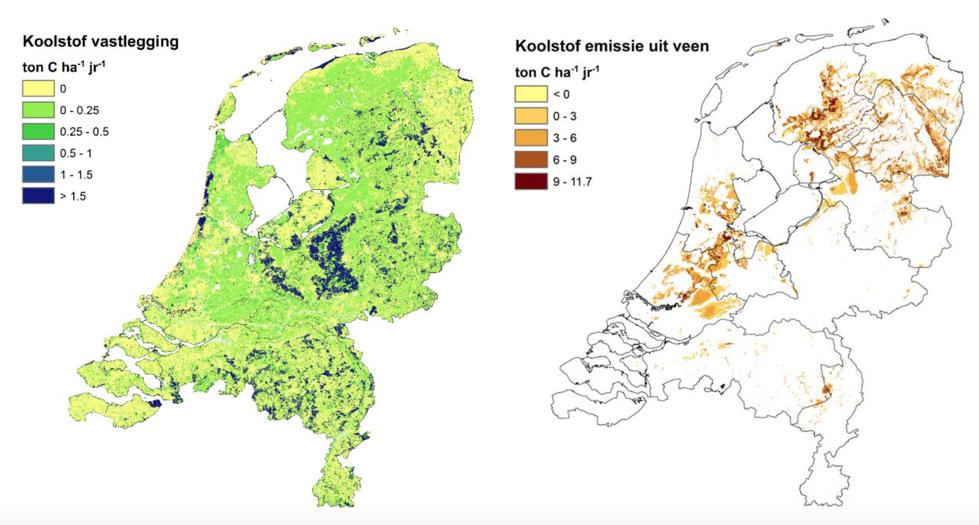 Terug in Nederland HOGE KOSTEN LANDBOUW OP VEEN CBS / WUR 2017: Opname CO 2 vegetatie 3.