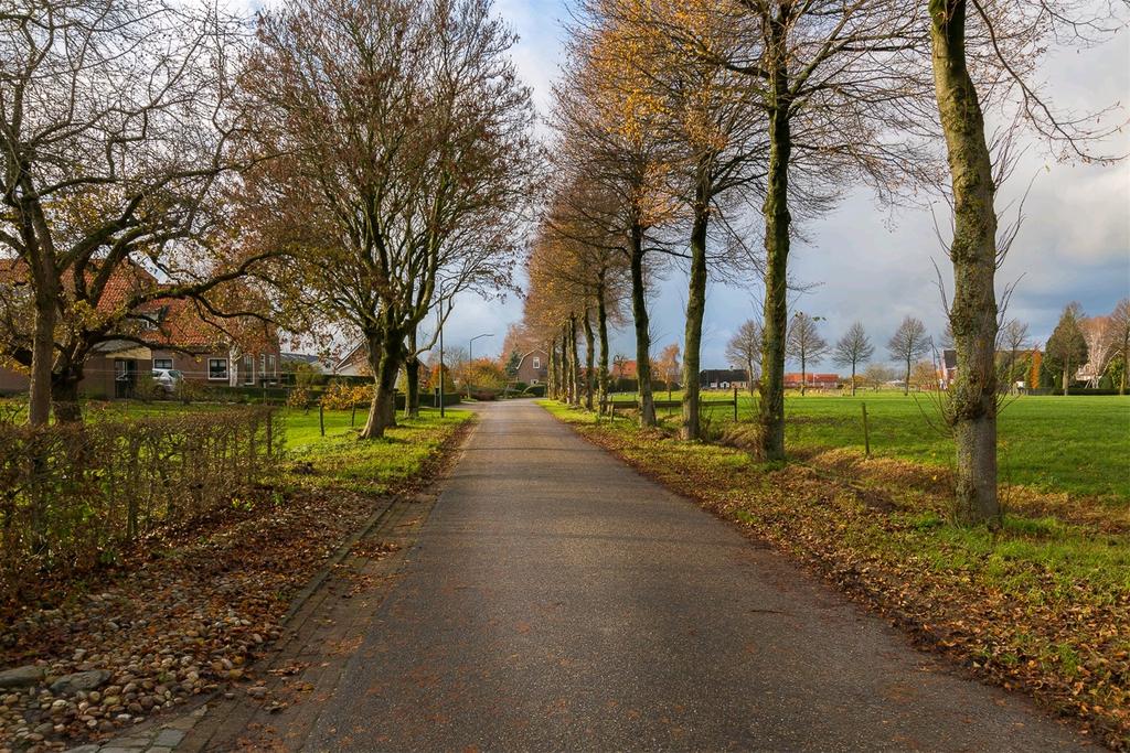 BIJZONDERHEDEN: De constructie van het woonhuis bestaat uit een begane grondvloer van deels beton en deels houten delen, spouwmuur metselwerk en een pannen dakbedekking.