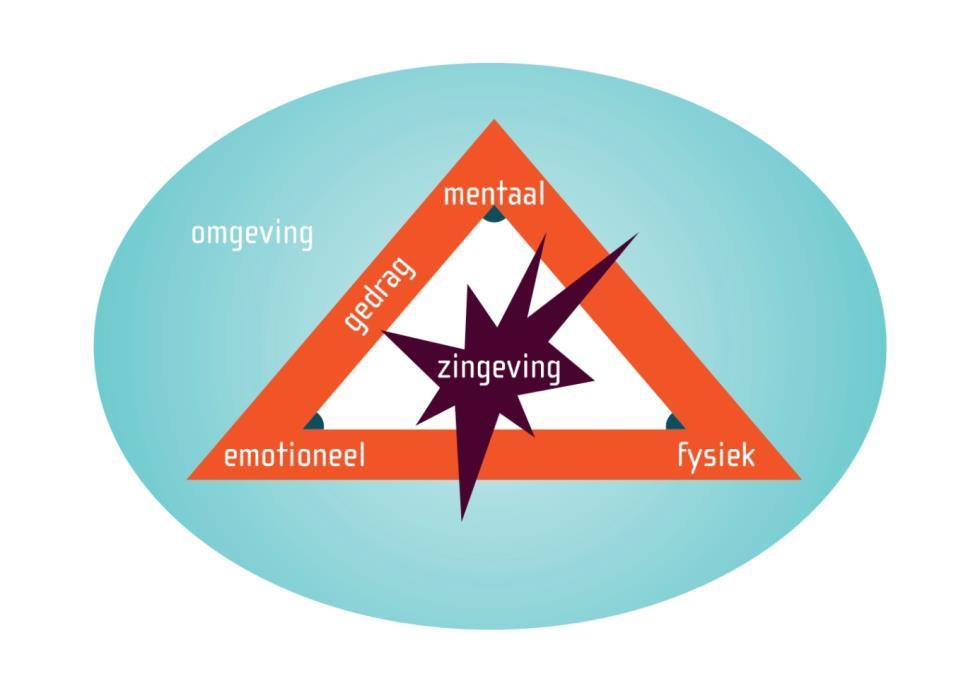 Ben je persoonlijk gegroeid in je professie door het transformeren van ineffectief gewoontegedrag als begeleider; Is je competentieniveau in het begeleiden op de zes ontwikkelingsniveaus aanzienlijk