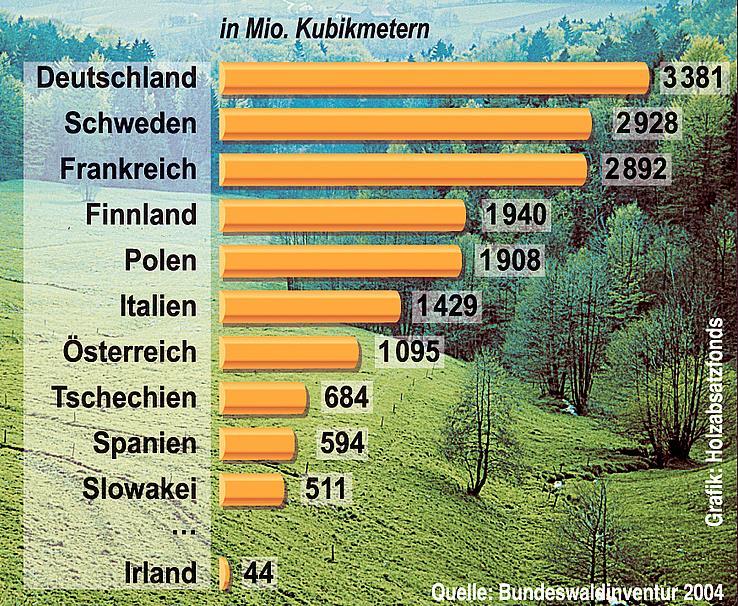 Enkele vooroordelen Er zijn geen bomen genoeg