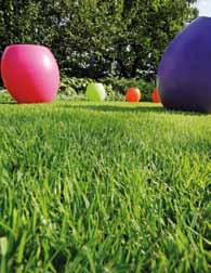 Onderzoek In het algemeen hangt de voedingsbehoefte van de grasplant af van: Het gebruiksdoel: sportvelden stellen andere eisen dan golfbanen of parken.
