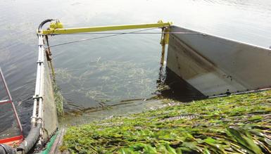 ESF 6: verwijdering De laatste ecologische sleutelfactor in deze groep richt zich op verwijdering van planten en dieren uit het watersysteem.