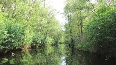 Waterschap Brabantse Delta en Waterschap Groot Salland) Uiterst rechts Scheepvaart