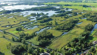 4.1 Een ondiep meer vegetatie in de oeverzones slecht ontwikkeld is (ESF 4).