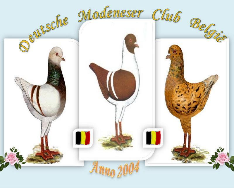 Deutsche Modeneser club België *Beste Gazzi *Beste Schietti. *Beste Magnani. Uitgereiking op de Clubdag 1 ste Secretaris Goedele Van Durme Massemsesteenweg 208. 9230 Massemen Tel.