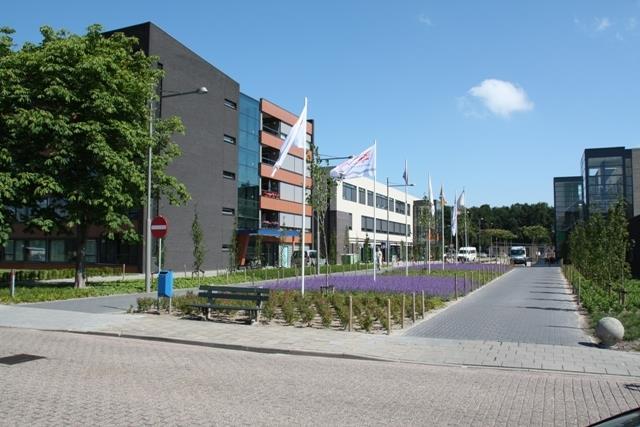 DE MEANDER De Meander De vrijwilligers van de Meander, de palliatieve afdeling van de Blaauwe Hoeve in Hulst, vallen eveneens onder de stichting Hospice Zeeuwsch-Vlaanderen.