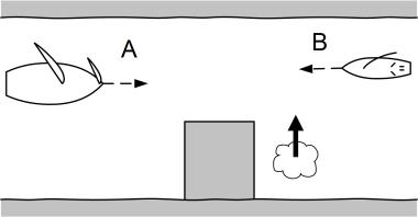 28. Wie moet voorrang geven en waarom? a. A, omdat hij zijn zeilen over bakboord heeft. b. A, omdat B aan stuurboordswal vaart. c. B, omdat een zeilschip voorrang moet geven aan een motorschip. d.