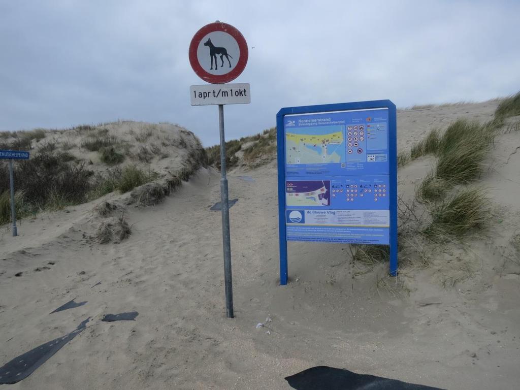 dieren kunt genieten. Bruinvissen die twee meter lang en 90 kilo zwaar kunnen worden, eten voornamelijk haring, kabeljauw en wijting.